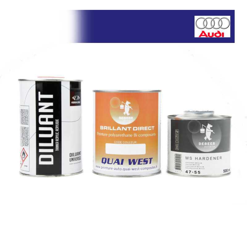 Kit Peinture Audi brillant direct