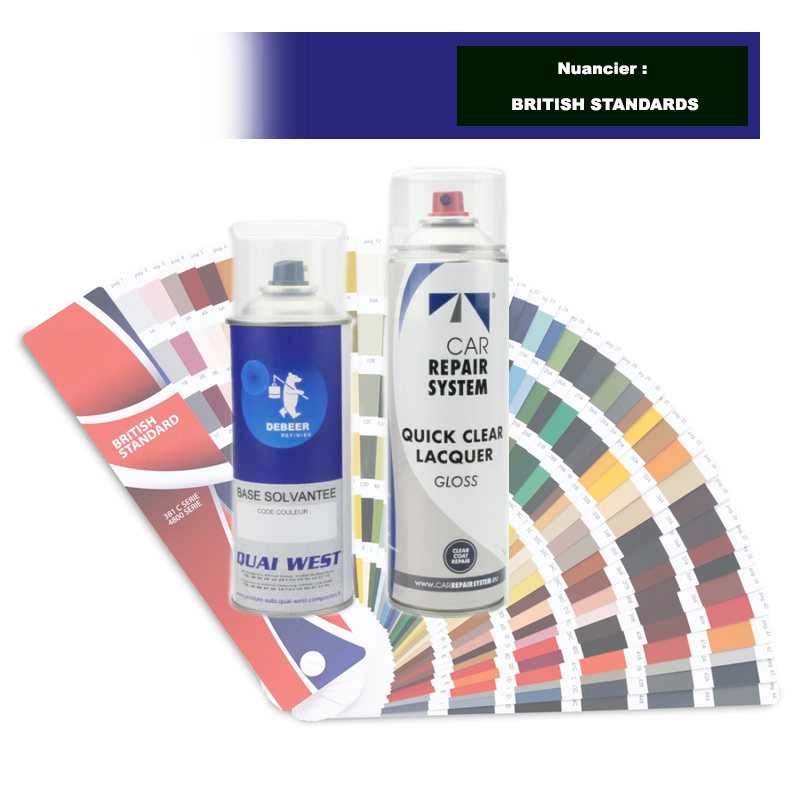 Kit Aérosol Peinture couleur bi-couches solvantée + vernis
