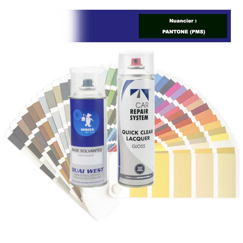 Kit Aérosol Peinture couleur bi-couches solvantée + vernis