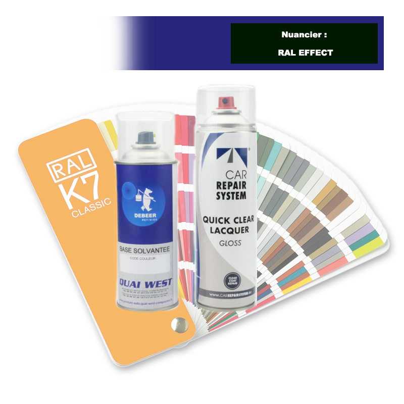 Kit Aérosol Peinture couleur bi-couches solvantée + vernis