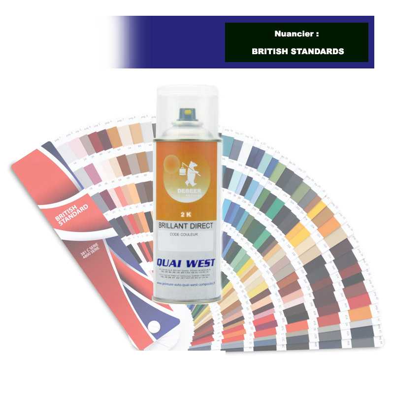 Aérosol 2K Peinture brillant direct couleur