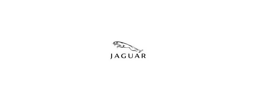 Peinture pour votre Jaguar