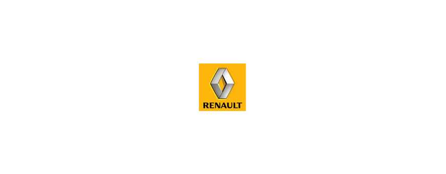 Peinture pour votre Renault