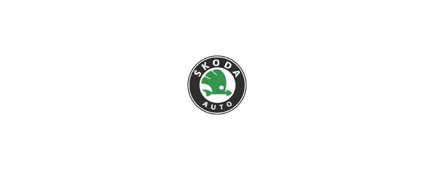 Peinture pour votre Skoda