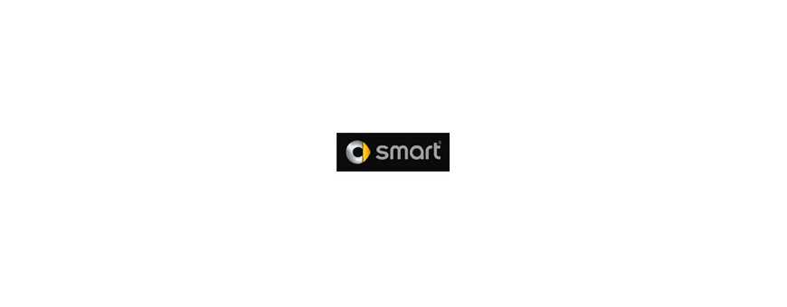 Peinture pour votre Smart