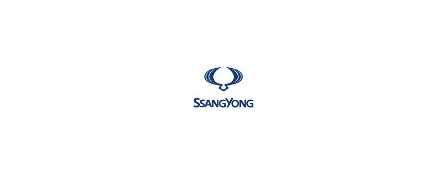 Peinture pour votre Ssangyong