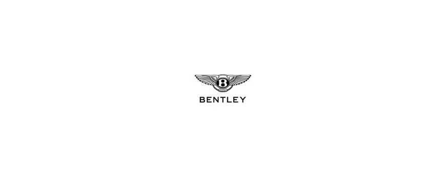 Peinture pour votre automobile de la marque Bentley